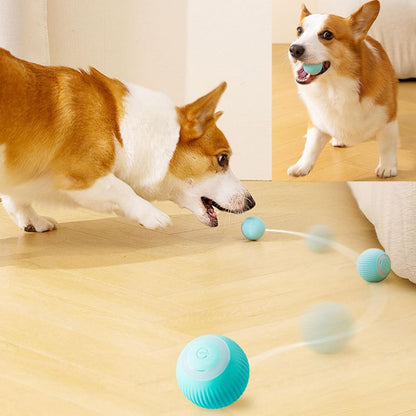 Pelota FlyBall™ Para Mascotas Inteligente